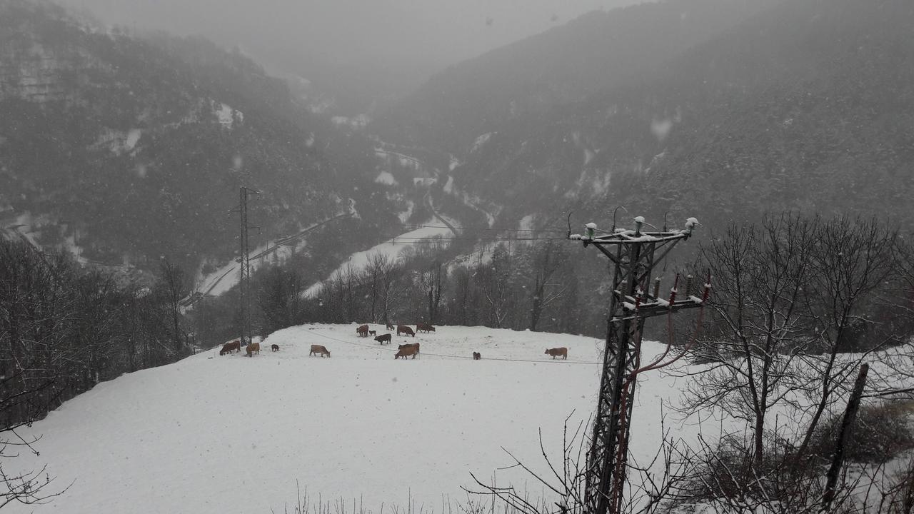 ホテル Rural L'Ortiga Blanca ケラルブス エクステリア 写真
